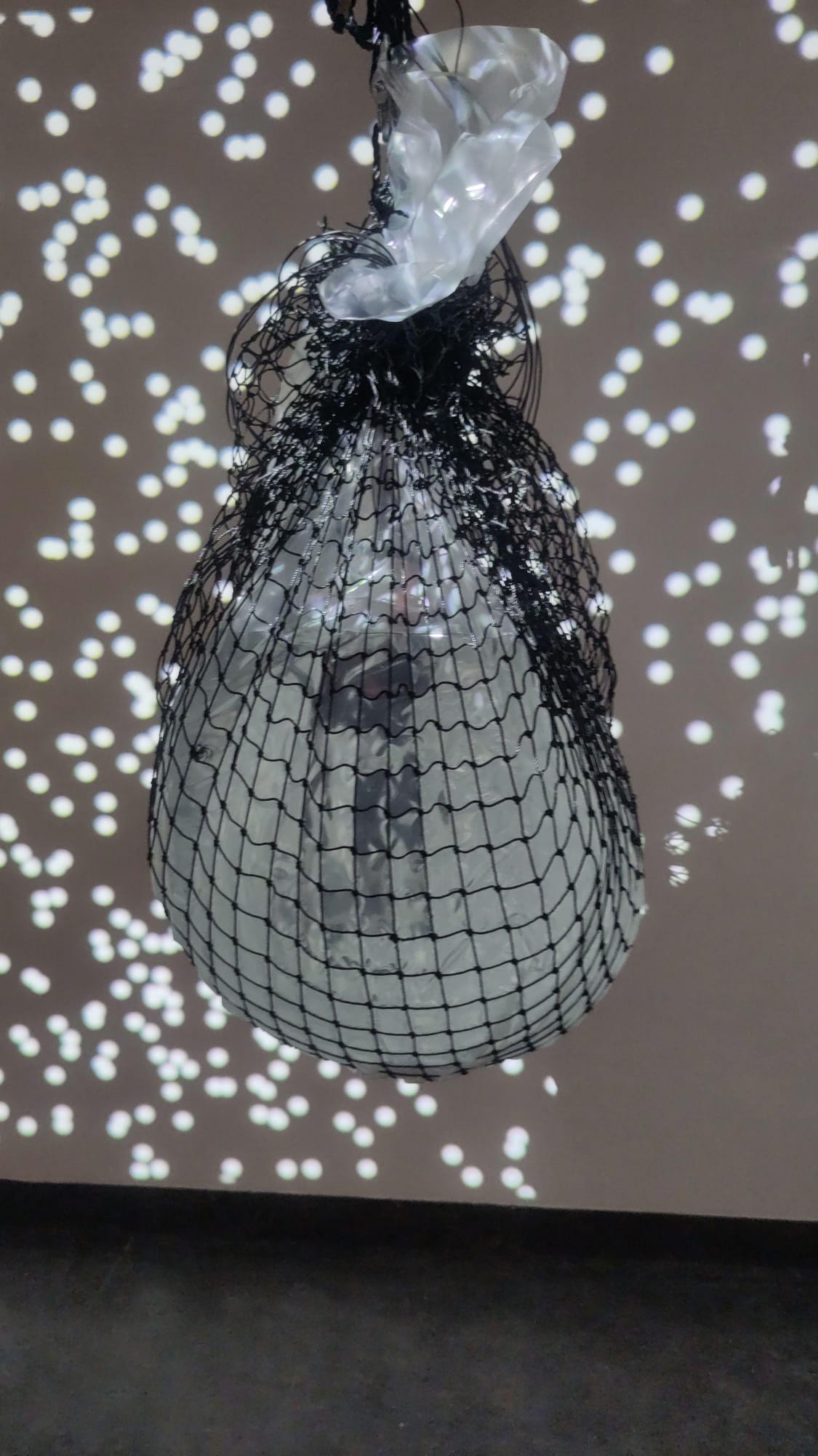 dancing in aquatic vibrations